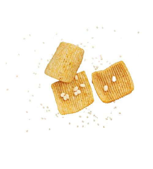 LENTIL CHIPS