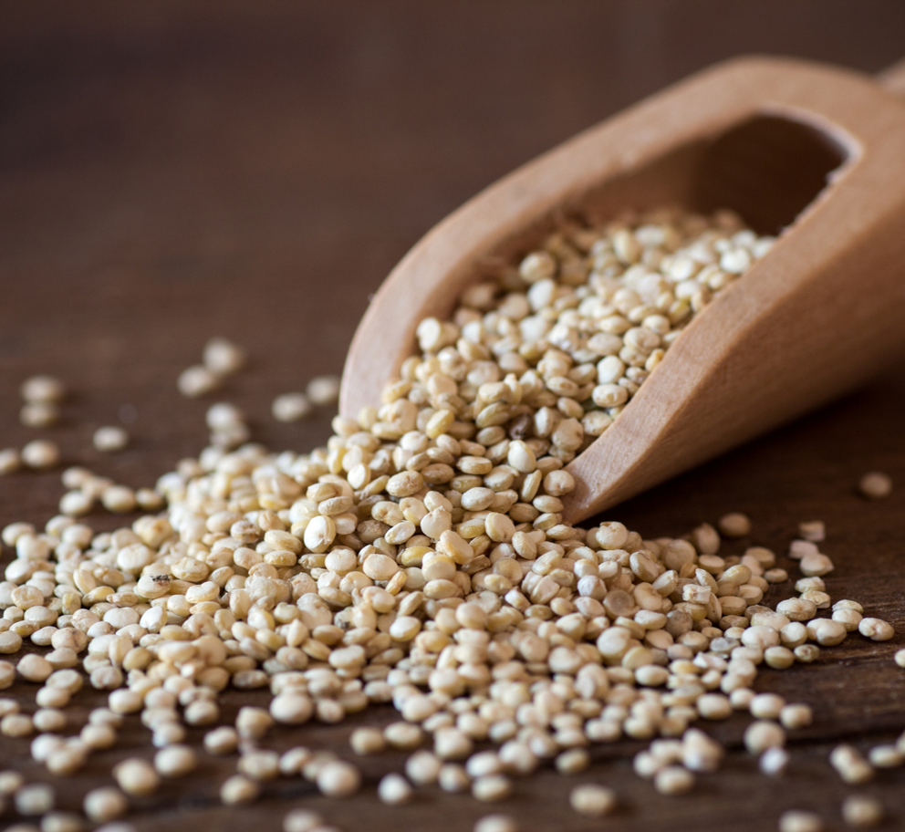 QUINOA