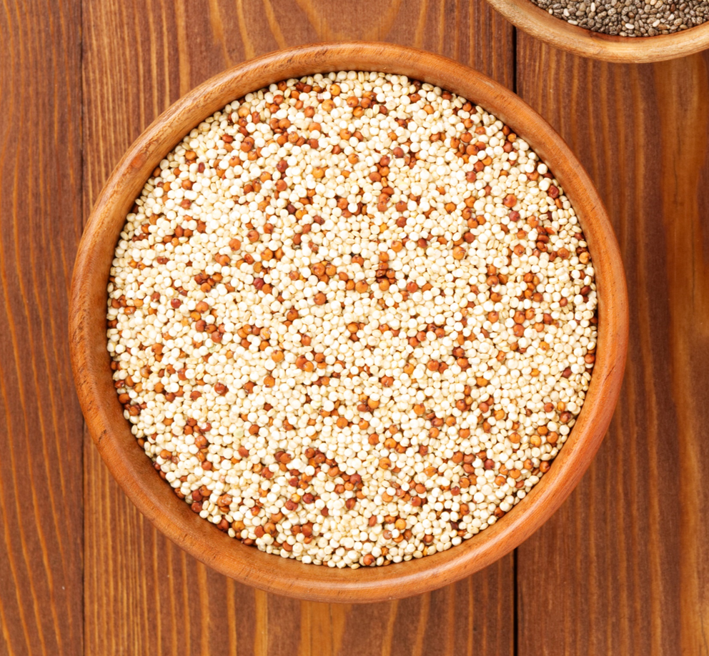 SORGHUM